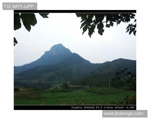 陈强独家分享攀岩技巧与心得体会助你轻松征服高峰